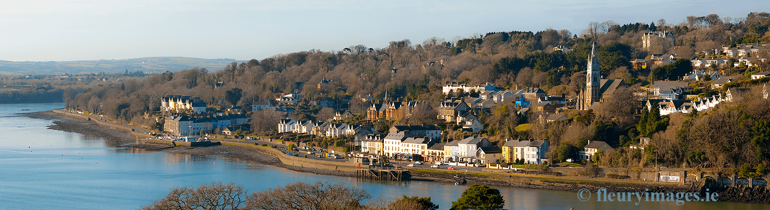 Copy-Monkstown-2010-6
